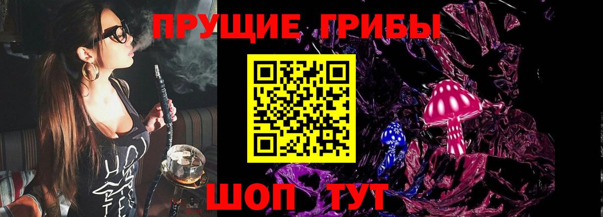 Псилоцибиновые грибы Magic Shrooms  Галлюциногенные грибы Cubensis  Нижний Тагил  где купить наркоту  Вход с VPN 
